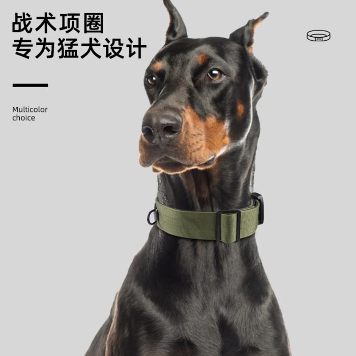 狗狗战术项圈（F1002）
