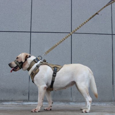 宠物牵引绳（F3002）