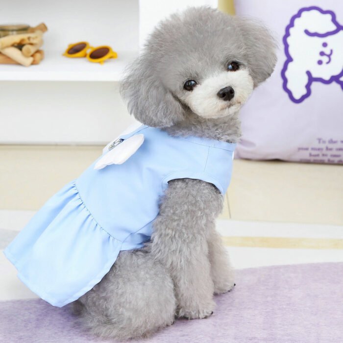 新款宠物衣服天使牵引裙春夏宠物狗狗服装宠物用品
