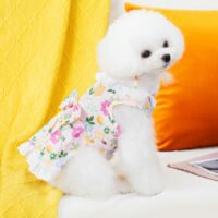 宠物服饰及配饰