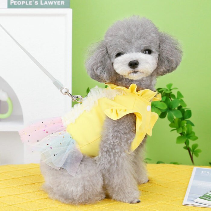 宠物服装泡泡彩纱裙易清洗亲肤透气宠物衣服宠物用品