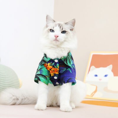 夏季新款宠物衣服亲肤透气耐用易清洗猫猫服装宠物用品