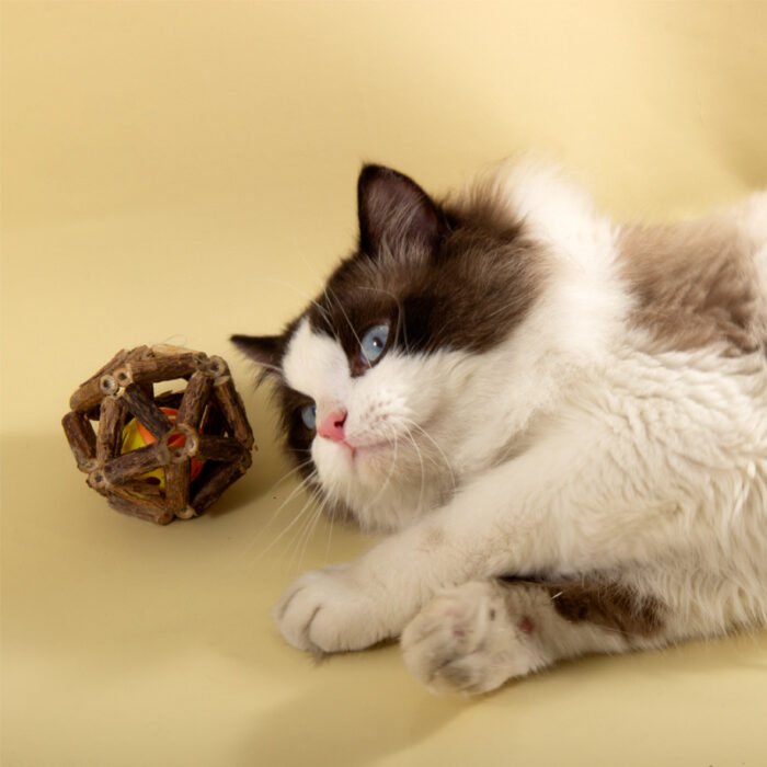 宠物玩具新款猫薄荷牢固耐玩宠物猫猫玩具易清洗