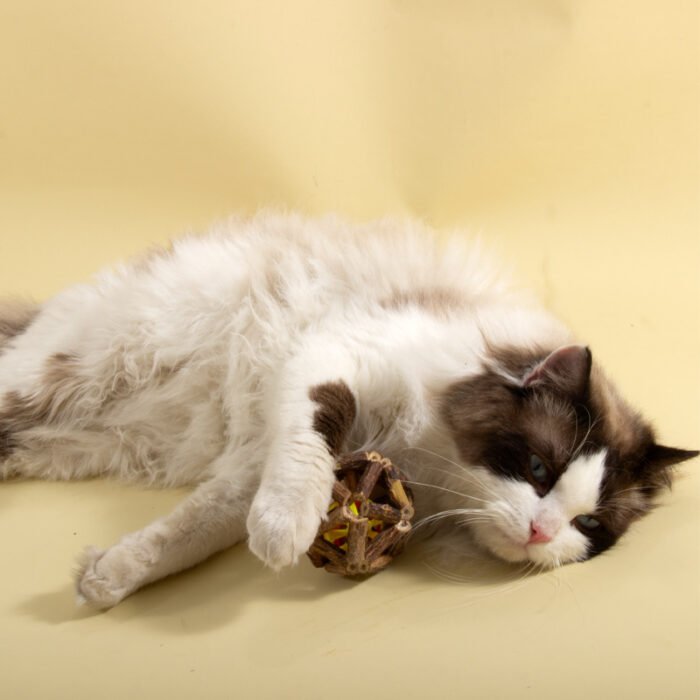 宠物玩具新款猫薄荷牢固耐玩宠物猫猫玩具易清洗