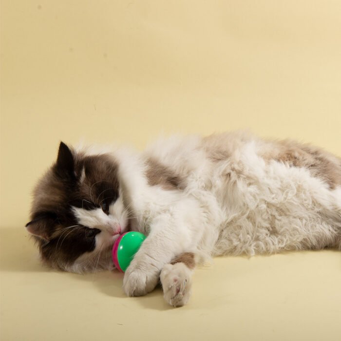 猫猫玩具老鼠型不倒翁牢固易清洗逗猫棒宠物逗猫玩具