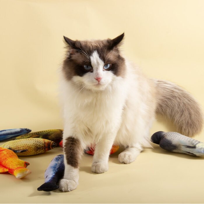 宠物猫猫玩具鱼造型设计牢固耐用磨牙宠物用品