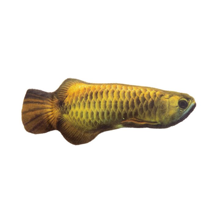 宠物猫猫玩具鱼造型设计牢固耐用磨牙宠物用品