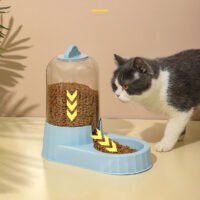 猫咪组合喂食器猫咪喂食喂水器