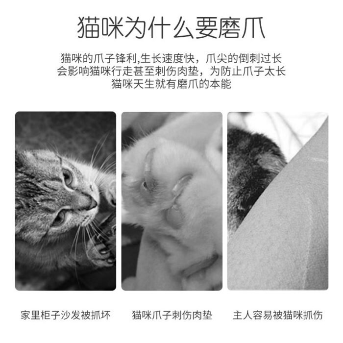 猫咪玩具猫抓板猫咪游乐盘多功能猫咪娱乐玩具