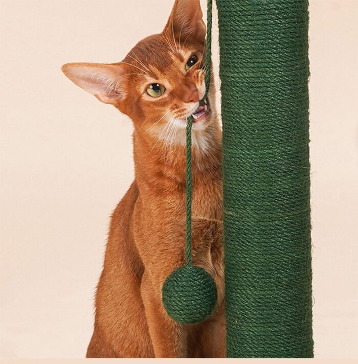 仙人掌猫抓板猫咪玩具猫抓板立柱式猫抓板攀爬柱猫咪自嗨解闷玩具