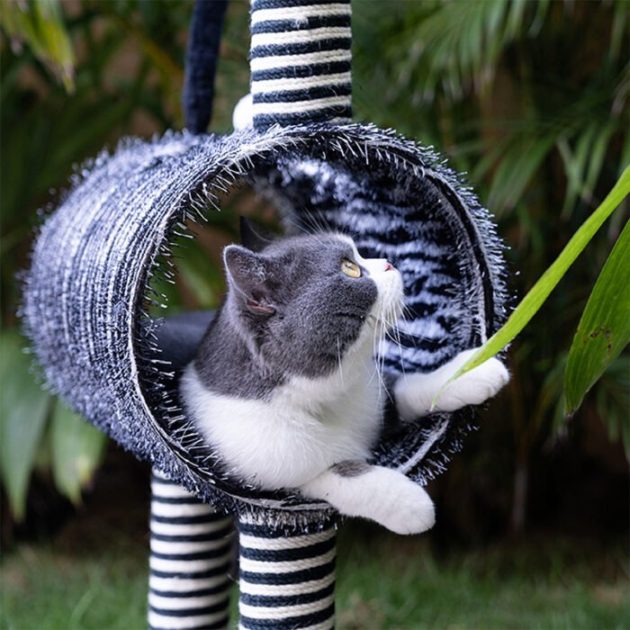 斑马猫爬架猫咪休息玩具猫咪玩具猫爬架猫猫解闷娱乐玩具