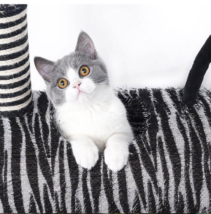 斑马猫爬架猫咪休息玩具猫咪玩具猫爬架猫猫解闷娱乐玩具