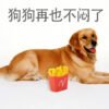 宠物玩具薯条耐咬发声玩具狗玩具洁齿磨牙狗玩具