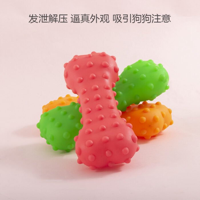 啃咬骨头宠物猫咪狗狗啃咬玩具磨牙骨头玩具发泄解压