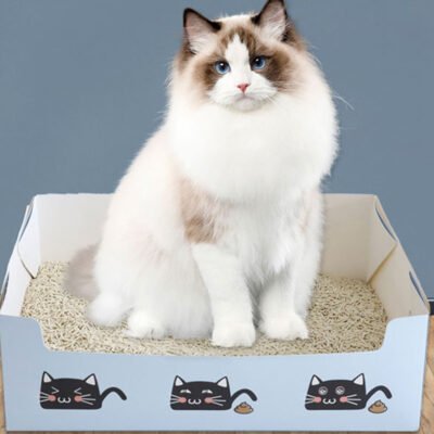 JT066 一次性纸质猫砂盘(小号)(WZJT-JT066)