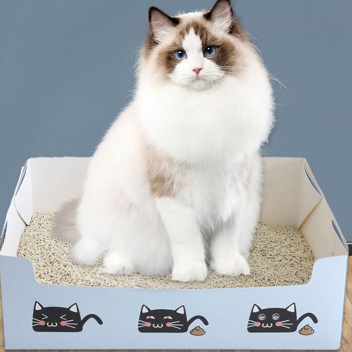 一次性纸质猫砂盘（小号）（WZJT-JT066）