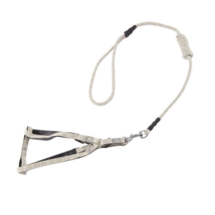 宠物牵引绳狗狗胸背带棉网格狗绳中小型犬狗链子批发厂家直销