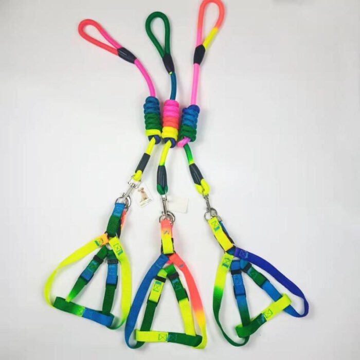 七彩圆绳+七彩纹胸背+（无把手款）S（MY-1132）