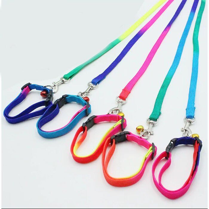七彩项圈牵引绳（YX）