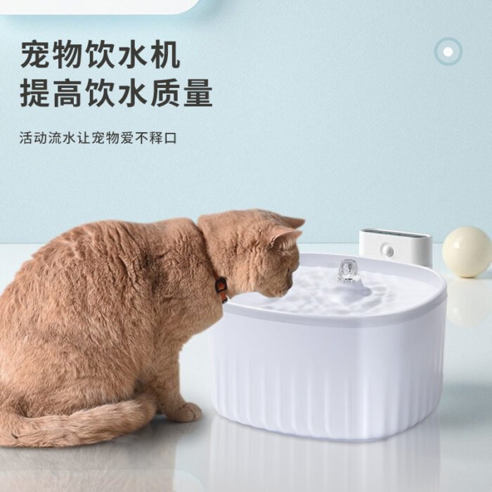 宠物智能饮水机
