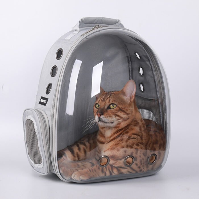 透明壳猫包