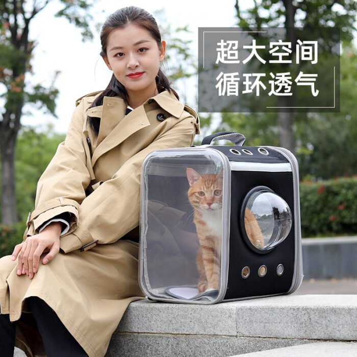 宠物便携折叠背包