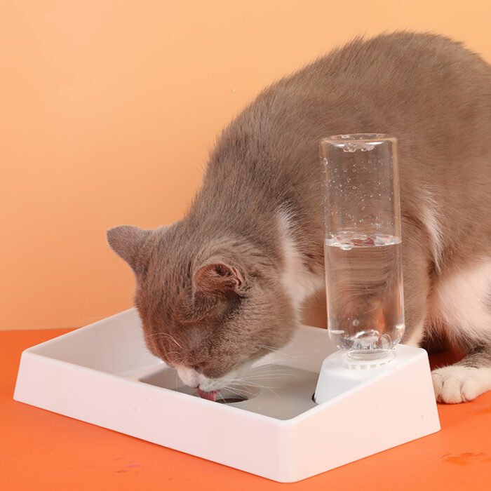 自动续水双碗（WSQ01）