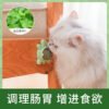 乌龟-猫薄荷玩具球