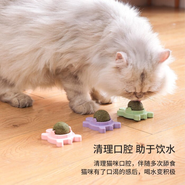 乌龟-猫薄荷玩具球
