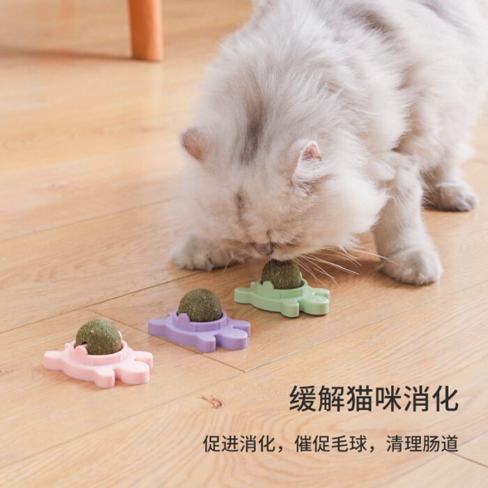 乌龟-猫薄荷玩具球