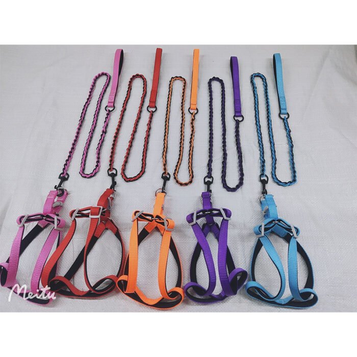 加衬仿尼龙款铁链穿绳牵引绳（YX）