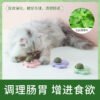 恐龙-猫薄荷玩具球