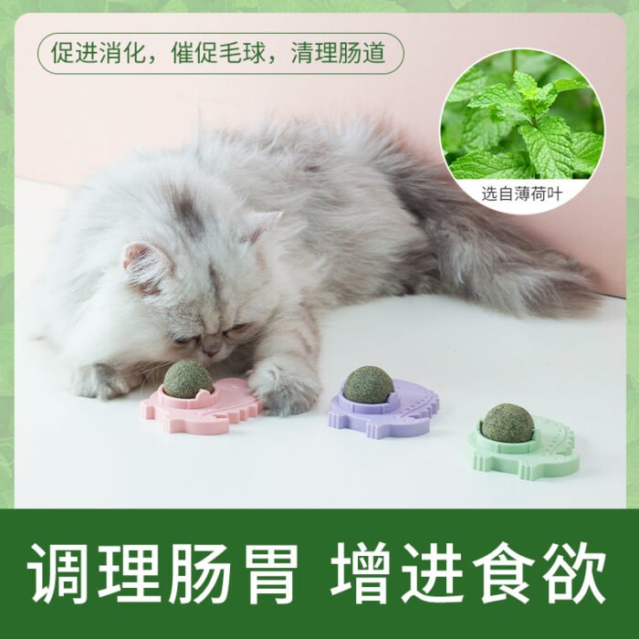恐龙-猫薄荷玩具球