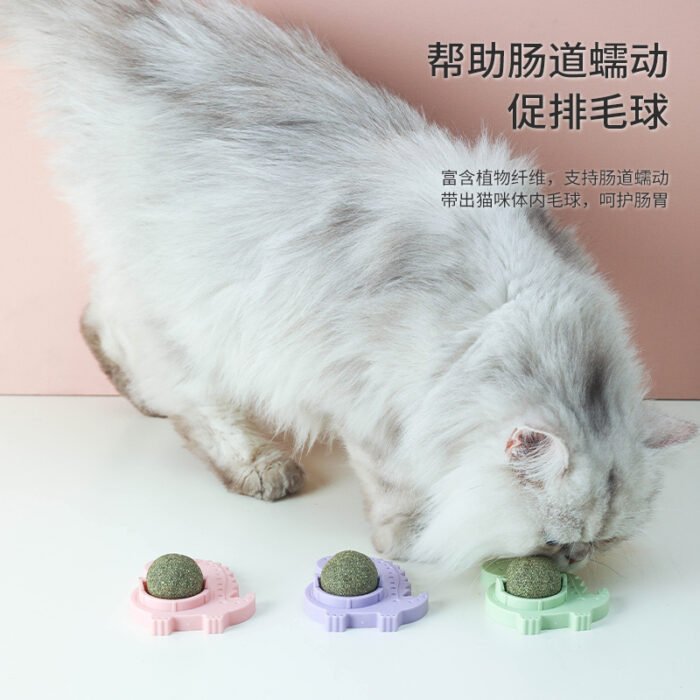恐龙-猫薄荷玩具球