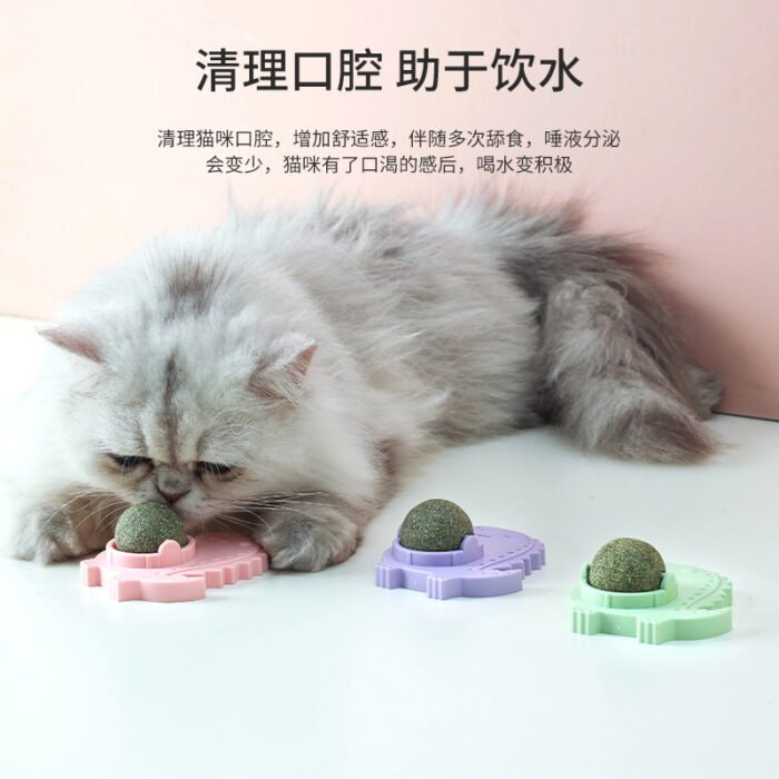 恐龙-猫薄荷玩具球