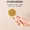 旋涡款自洁梳