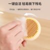 旋涡款自洁梳