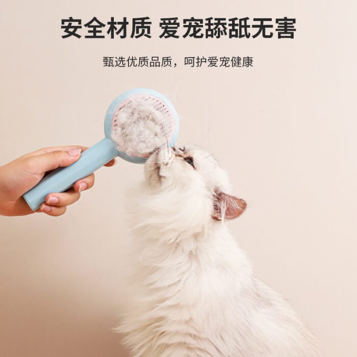 旋涡款自洁梳