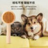 旋涡款自洁梳