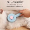 旋涡款自洁梳