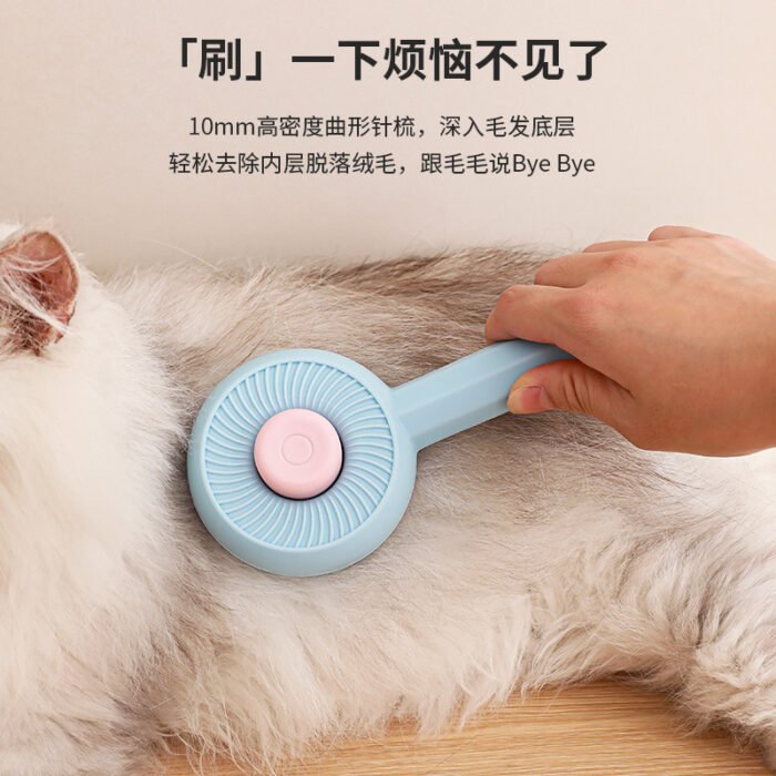 旋涡款自洁梳