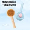 旋涡款自洁梳