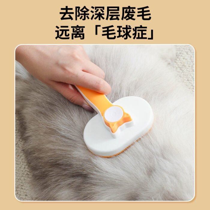 椭圆形自洁梳