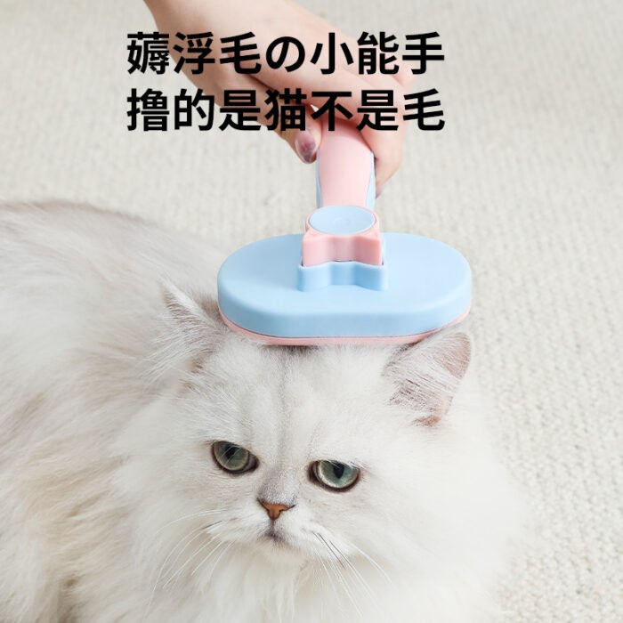 椭圆形自洁梳