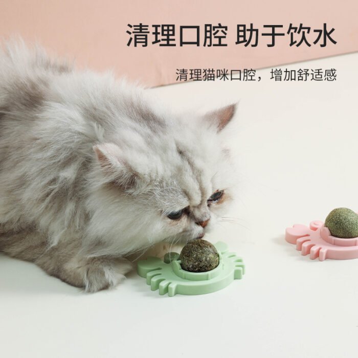 螃蟹-猫薄荷玩具球
