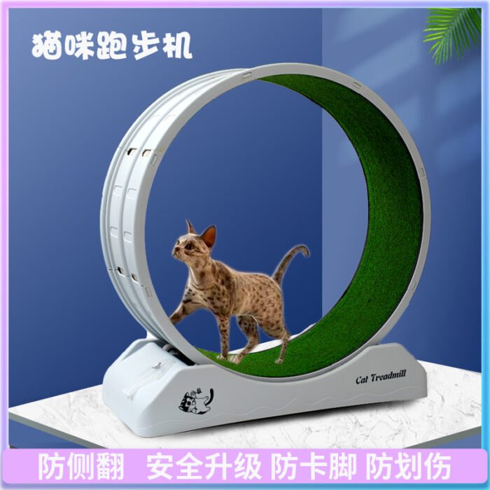猫咪跑步机（HBFD）